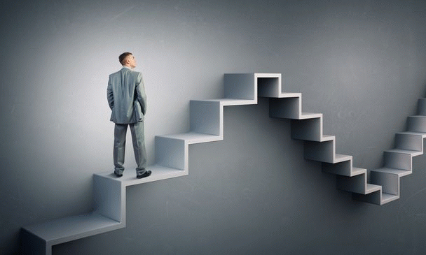 راهنمای قدم‌به‌قدم آموزش سگ گرگی با رعایت 16 نکته