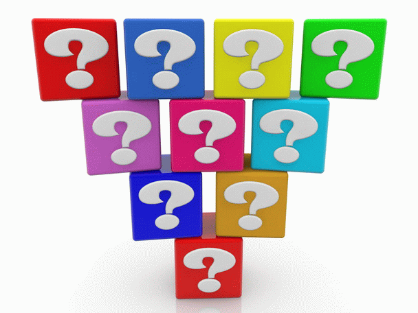 بررسی 16 دلیل قانع‌کننده برای بردن سگ به آرایشگاه