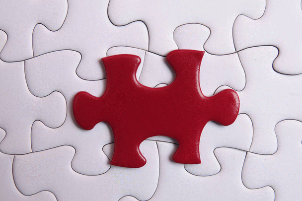 آموزش صحیح سگ شکاری از دوران تولگی با 21 نکته